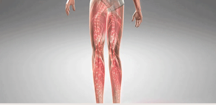 1688638272297551.gif 0550639fbba9cfba96157045ff474a1d.gif