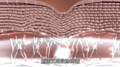 1701149858757802.gif 1.gif