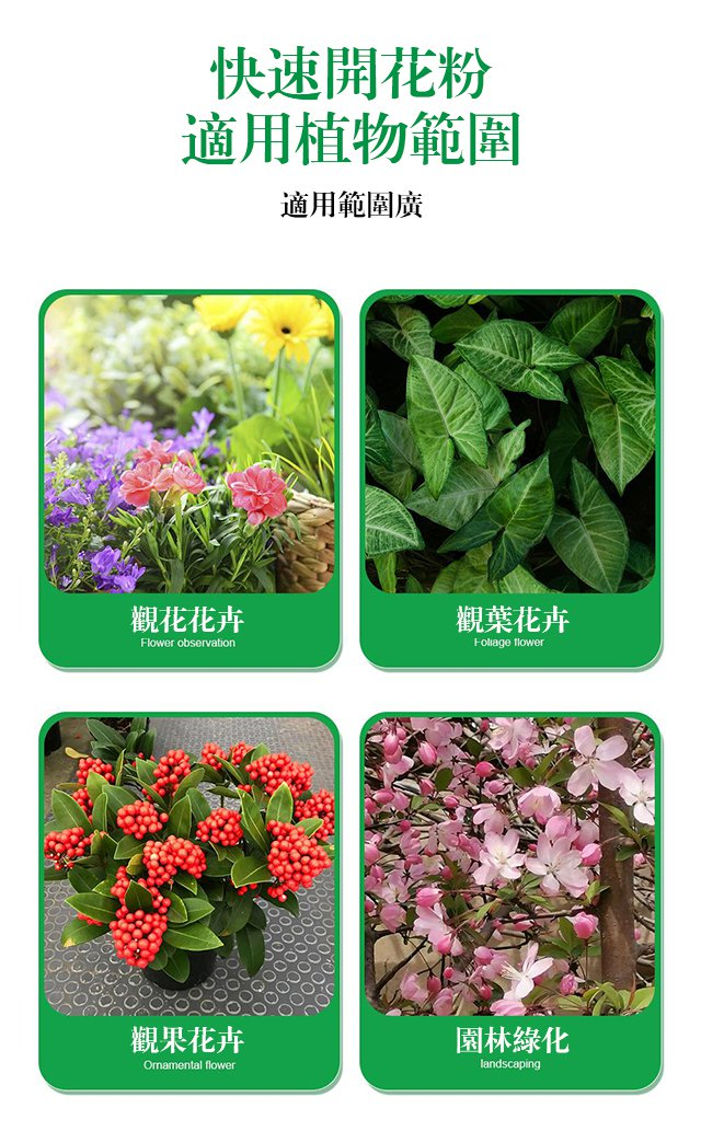 1703750341145463.png 80ed94dc23b1662507e946554fef73b.png