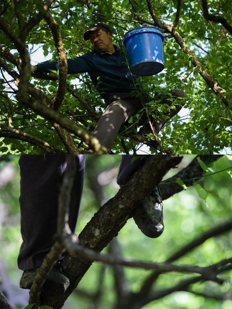 1704264534321477.jpg 2.jpg