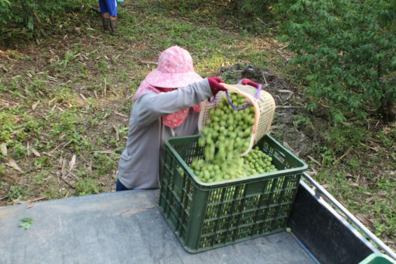 1704264651464752.jpg 8.jpg