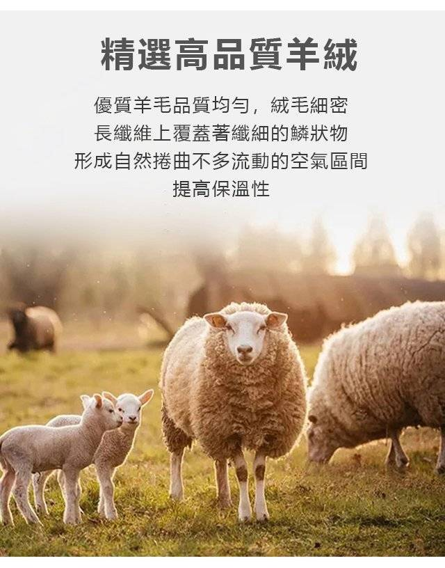 1704555117874864.png 1205e6b696a5ff995081ef3e0bf04f9.png